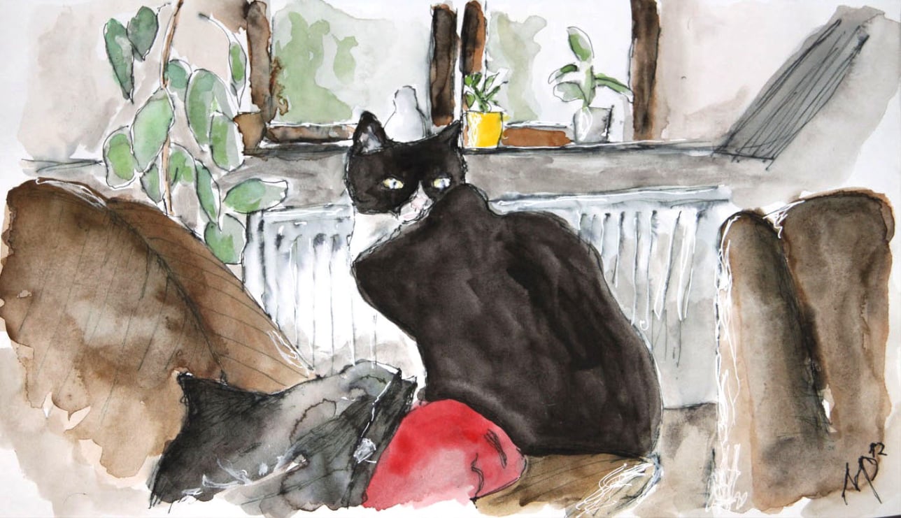 Aquarell Katze Hugo 
